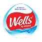 Wells Indonesia